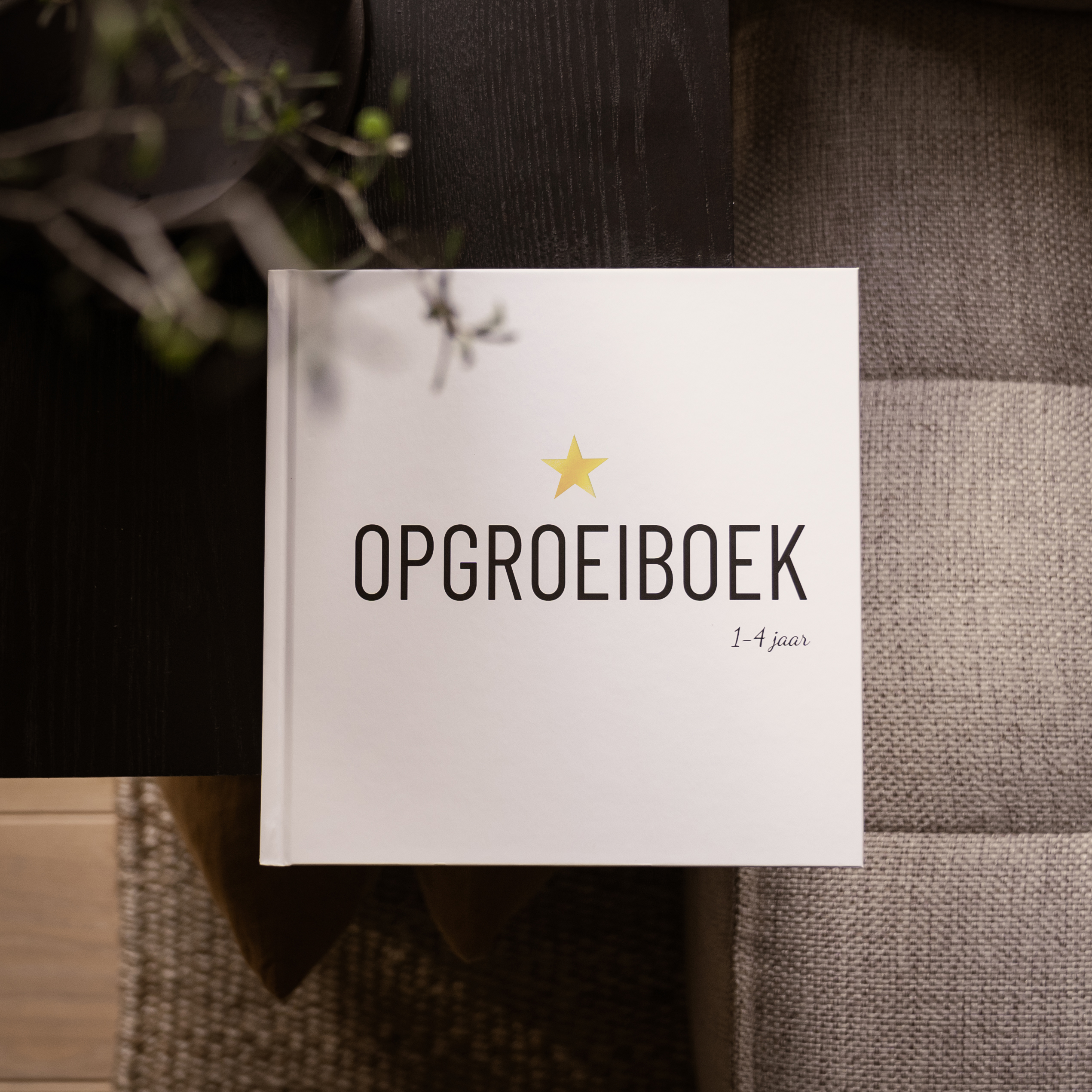 Opgroeiboek